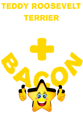 /products/overlays/21572462.png img