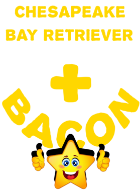 /products/overlays/21572539.png img