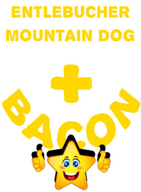 /products/overlays/21572559.png img