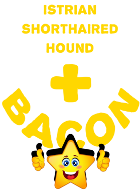 /products/overlays/21572704.png img