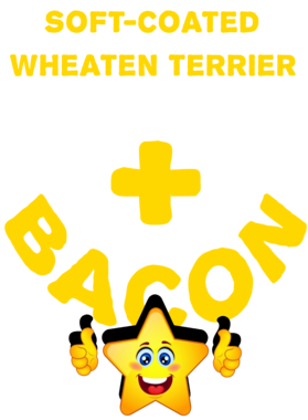 /products/overlays/21572873.png img