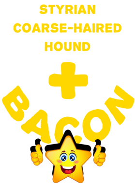 /products/overlays/21572881.png img