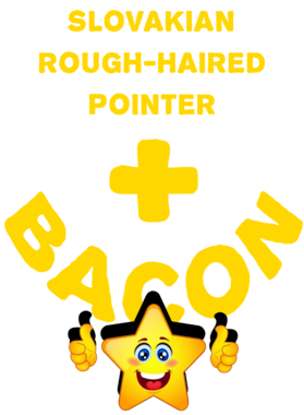 /products/overlays/21572997.png img