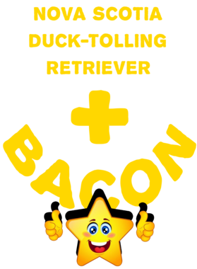 /products/overlays/21573044.png img