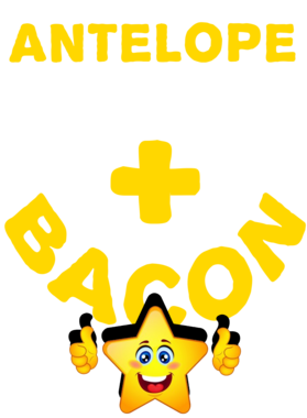 /products/overlays/21573883.png img