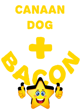 /products/overlays/21575630.png img