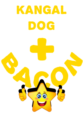 /products/overlays/21575679.png img