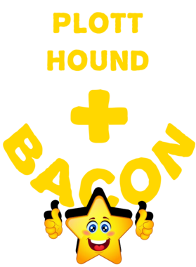 /products/overlays/21576731.png img