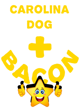 /products/overlays/21577735.png img