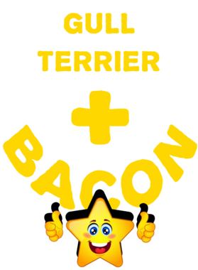 /products/overlays/21577829.png img