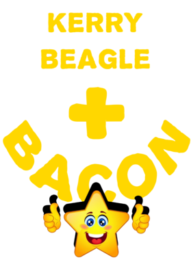 /products/overlays/21577900.png img