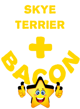 /products/overlays/21577998.png img