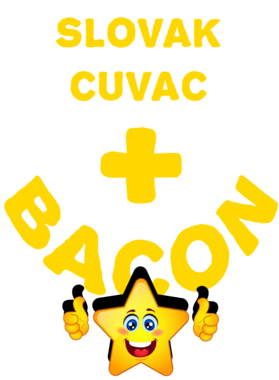 /products/overlays/21578013.png img