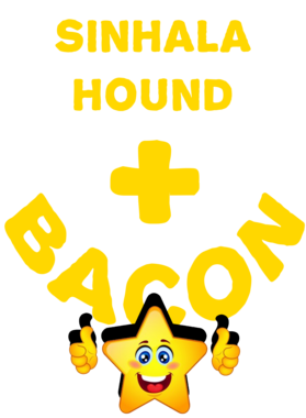 /products/overlays/21578895.png img