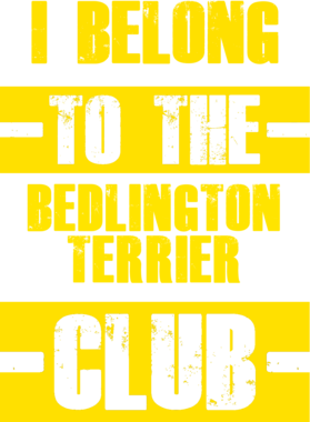 /products/overlays/21754292.png img