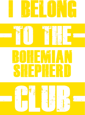 /products/overlays/21754768.png img