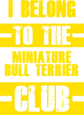 /products/overlays/21755236.png img