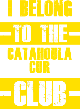 /products/overlays/21755498.png img