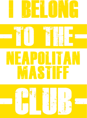 /products/overlays/21758841.png img