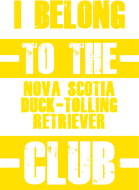 /products/overlays/21759003.png img