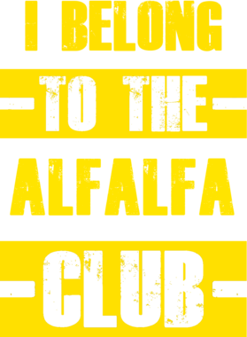 /products/overlays/21762342.png img