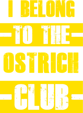 /products/overlays/21762770.png img