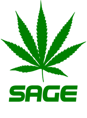 /products/overlays/27755264.png img