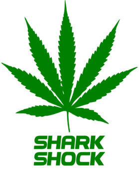 /products/overlays/27755272.png img