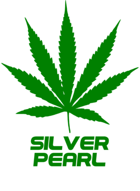 /products/overlays/27755281.png img