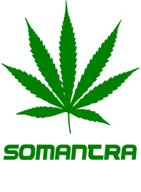 /products/overlays/27755294.png img