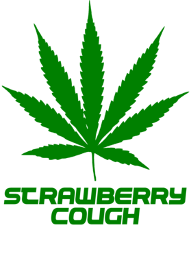 /products/overlays/27755310.png img