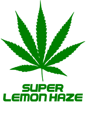 /products/overlays/27755312.png img