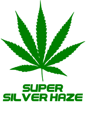 /products/overlays/27755313.png img