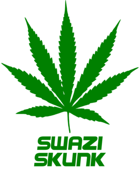 /products/overlays/27755316.png img