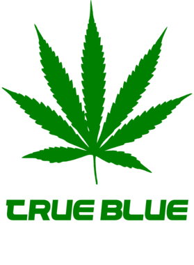 /products/overlays/27755337.png img