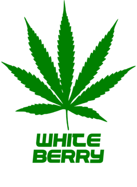 /products/overlays/27755353.png img