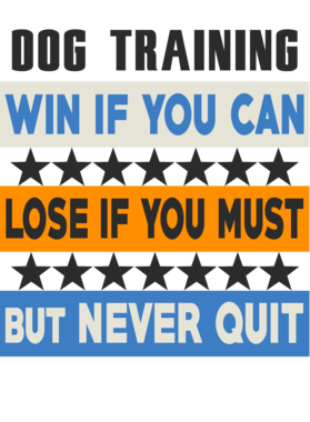 /products/overlays/28901054.png img