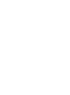 /products/overlays/29251201.png img