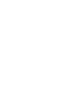 /products/overlays/29251209.png img