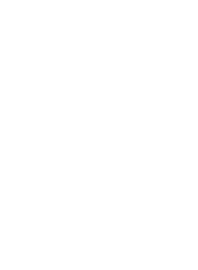 /products/overlays/29251211.png img