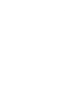 /products/overlays/29251219.png img