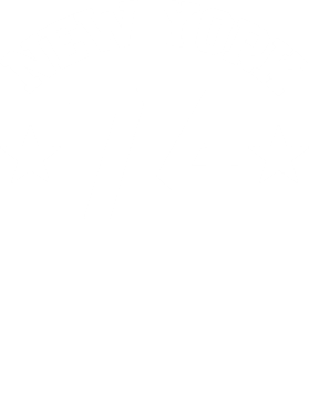 /products/overlays/29251225.png img