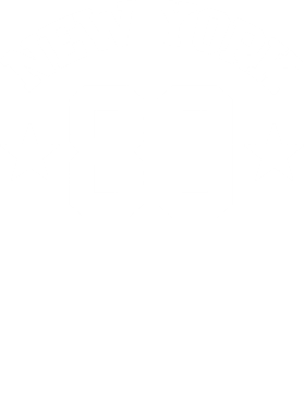 /products/overlays/29251231.png img