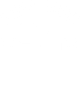 /products/overlays/29251245.png img