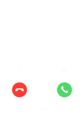 /products/overlays/30120708.png img