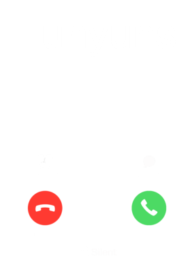 /products/overlays/30121245.png img