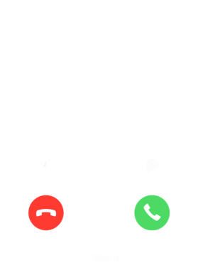 /products/overlays/30121675.png img