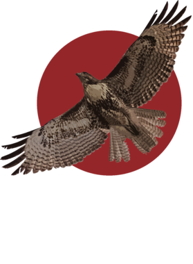 /products/overlays/8800491.png img